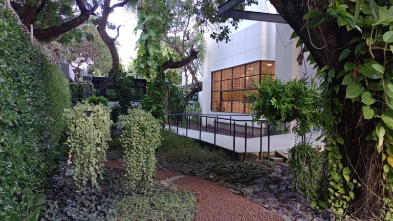 WhatsApp Image 2023-04-10 at 16.29